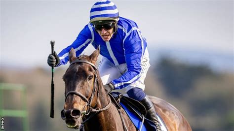 punchestown news|Punchestown Festival: Favourite Energumene wins Champion .